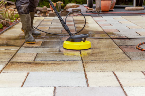 Best Animal Enclosure Cleaning  in Cocoa Beach, FL